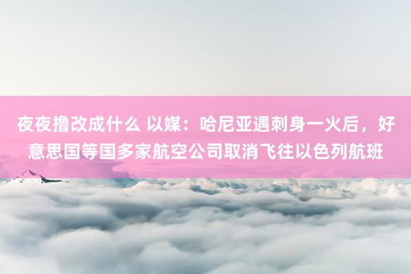 夜夜撸改成什么 以媒：哈尼亚遇刺身一火后，好意思国等国多家航空公司取消飞往以色列航班