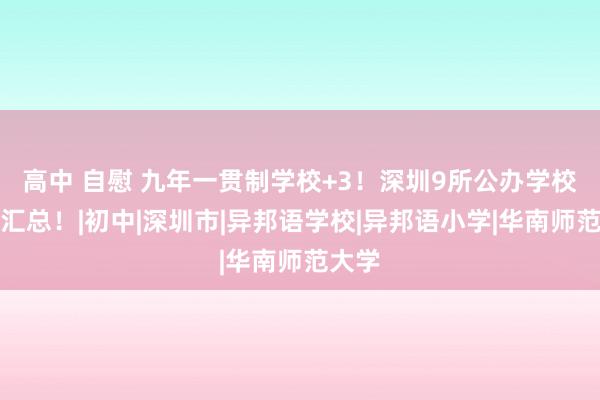 高中 自慰 九年一贯制学校+3！深圳9所公办学校扩建汇总！|初中|深圳市|异邦语学校|异邦语小学|华南师范大学