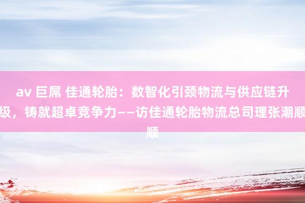 av 巨屌 佳通轮胎：数智化引颈物流与供应链升级，铸就超卓竞争力——访佳通轮胎物流总司理张潮顺