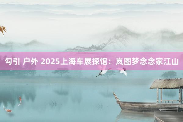 勾引 户外 2025上海车展探馆：岚图梦念念家江山