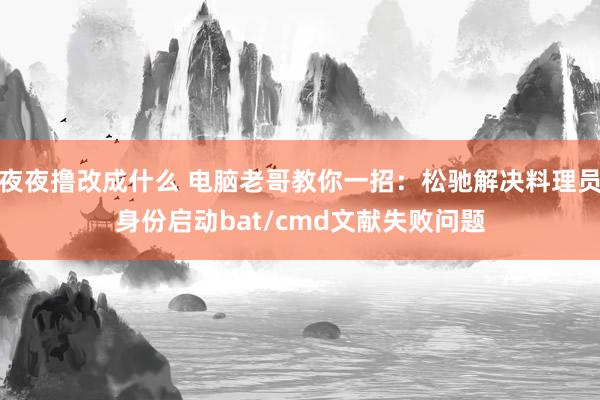 夜夜撸改成什么 电脑老哥教你一招：松驰解决料理员身份启动bat/cmd文献失败问题