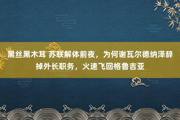 黑丝黑木耳 苏联解体前夜，为何谢瓦尔德纳泽辞掉外长职务，火速飞回格鲁吉亚