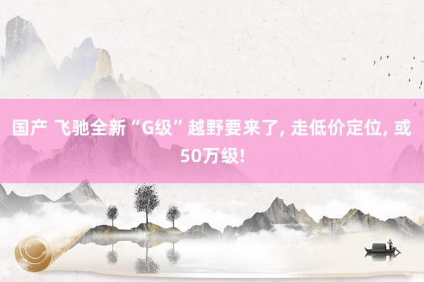 国产 飞驰全新“G级”越野要来了， 走低价定位， 或50万级!