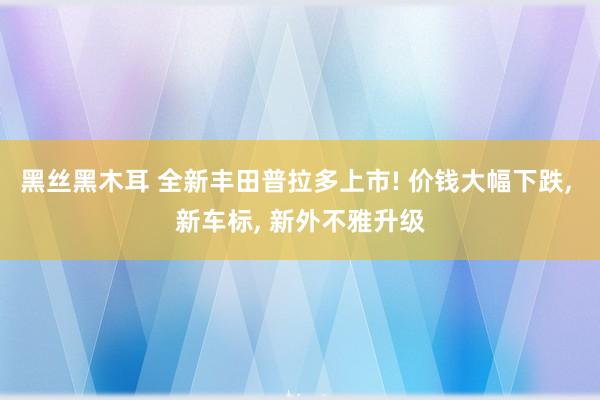 黑丝黑木耳 全新丰田普拉多上市! 价钱大幅下跌, 新车标, 新外不雅升级