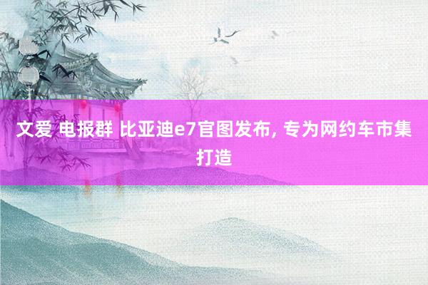 文爱 电报群 比亚迪e7官图发布, 专为网约车市集打造