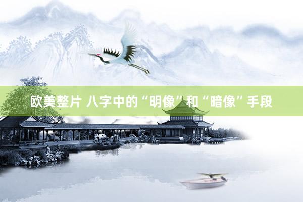 欧美整片 八字中的“明像”和“暗像”手段
